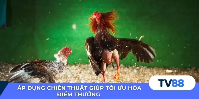 Áp dụng chiến thuật đúng thời điểm và kết hợp quan sát 