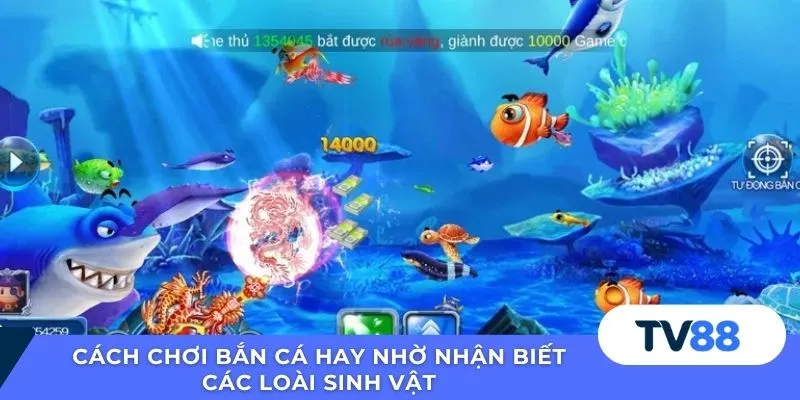 Cách chơi bắn cá hay nhờ nhận biết các loài sinh vật