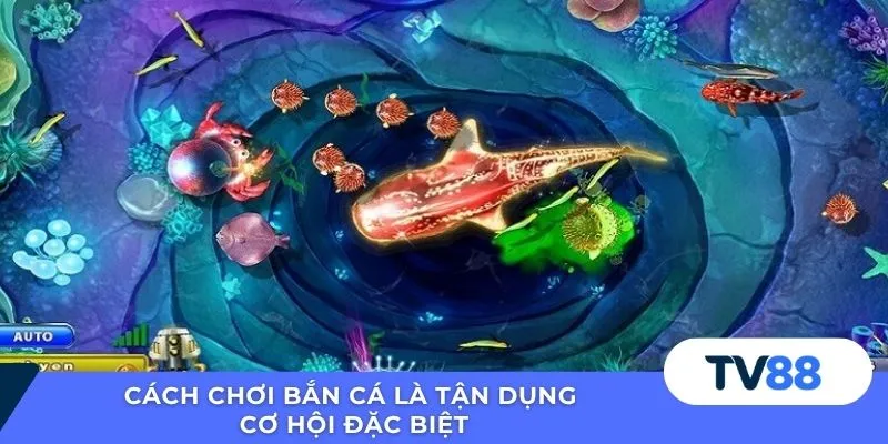 Cách chơi bắn cá là tận dụng cơ hội đặc biệt
