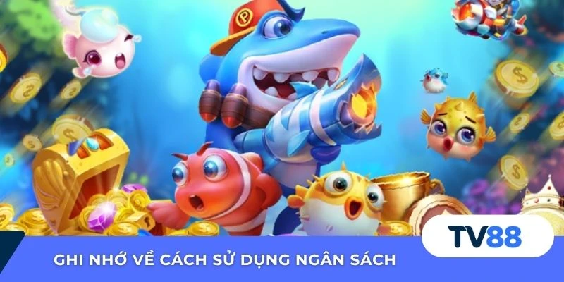 Ghi nhớ về cách sử dụng ngân sách