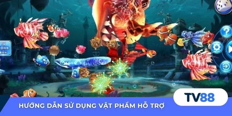 Hướng dẫn sử dụng vật phẩm hỗ trợ