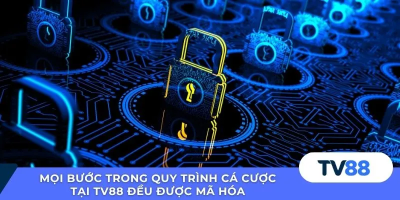 Mọi bước trong quy trình cá cược tại TV88 đều được mã hóa