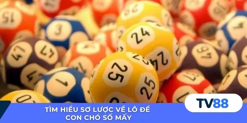 Tìm hiểu sơ lược về lô đề con chó số mấy