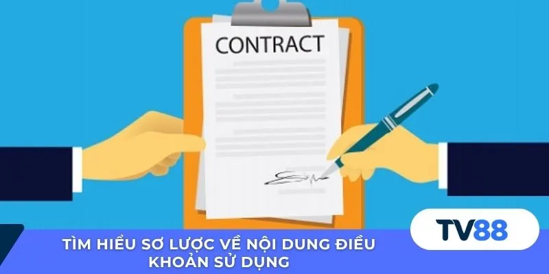 Tìm hiểu sơ lược về nội dung điều khoản sử dụng