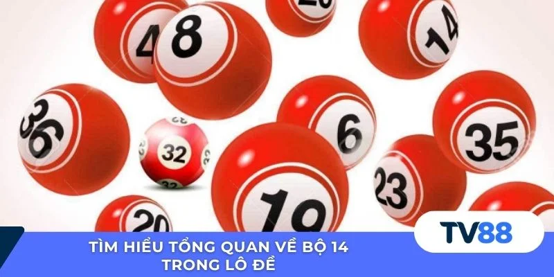 Tìm hiểu tổng quan về bộ 14 trong lô đề 